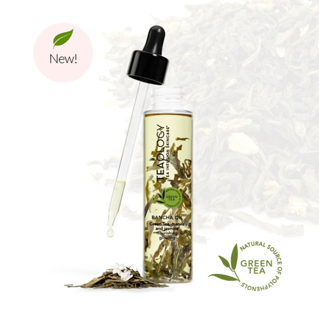 teaology-bancha-news